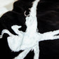 Symbiote Sweatpants (PRE-ORDER ITEM)